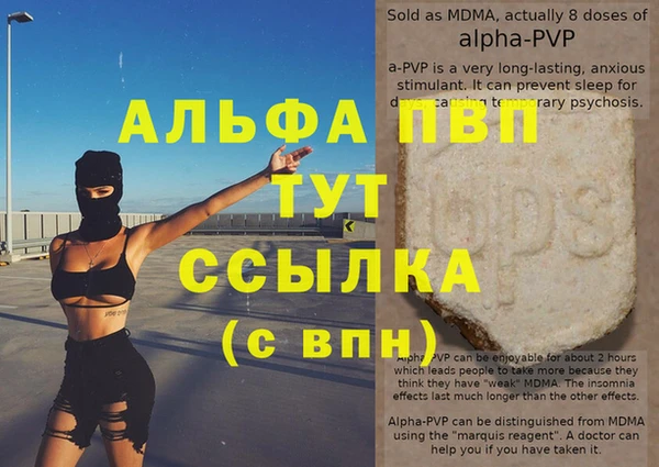 гидра Абаза