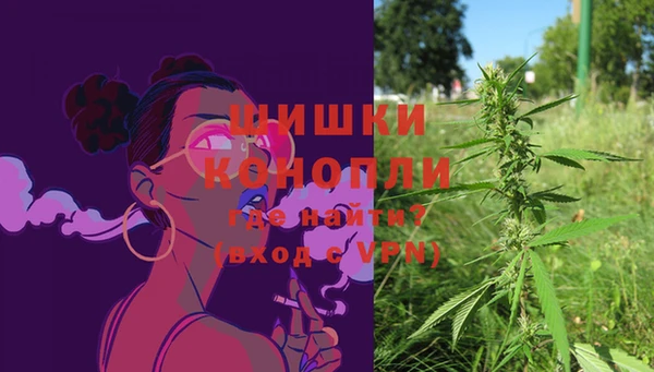гидра Абаза