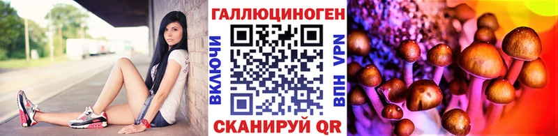Псилоцибиновые грибы ЛСД  маркетплейс официальный сайт  Зеленодольск  где купить  